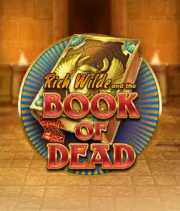 Dive into the thrilling world of Book of Dead Slot by Play'n GO, showcasing vivid graphics of Rich Wilde's journey through ancient Egyptian tombs and artifacts. Uncover lost riches with exciting mechanics like free spins, expanding symbols, and a gamble option. Ideal for adventure seekers with a desire for unearthing secrets.